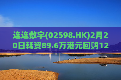 连连数字(02598.HK)2月20日耗资89.6万港元回购12.3万股