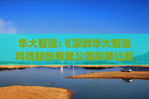 华大智造:《深圳华大智造科技股份有限公司拟转让股权涉及的模拟剥离相关资产及负债后的CompleteGenomics,Inc.股东全部权益价值估值报告》（北方亚事咨报字[2026]第01-024号）