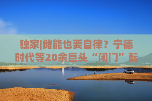 独家|储能也要自律？宁德时代等20余巨头“闭门”酝酿倡议  第1张