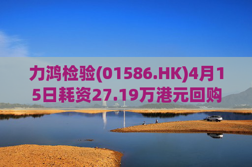 力鸿检验(01586.HK)4月15日耗资27.19万港元回购11.6万股  第1张