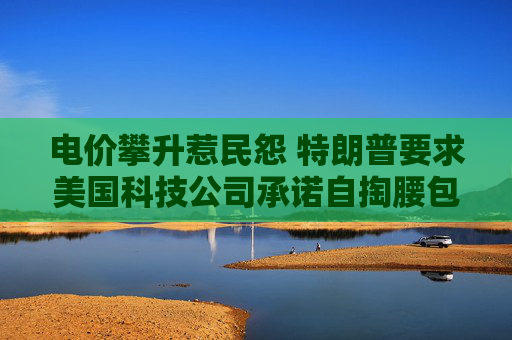 电价攀升惹民怨 特朗普要求美国科技公司承诺自掏腰包建设AI数据中心