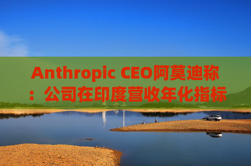 Anthropic CEO阿莫迪称：公司在印度营收年化指标4个月内翻倍