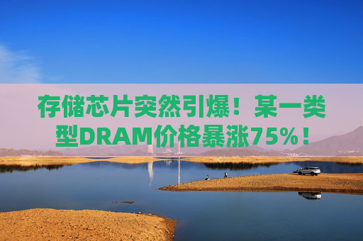 存储芯片突然引爆！某一类型DRAM价格暴涨75%！