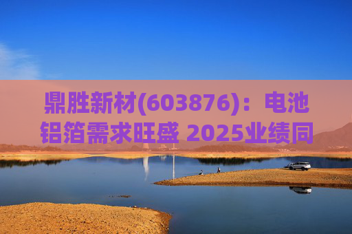 鼎胜新材(603876)：电池铝箔需求旺盛 2025业绩同比高增