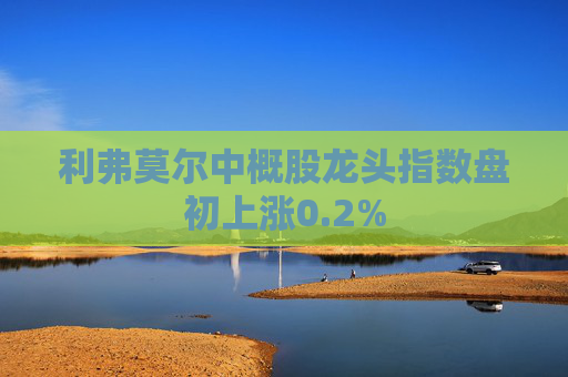 利弗莫尔中概股龙头指数盘初上涨0.2%  第1张
