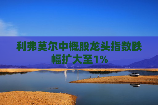 利弗莫尔中概股龙头指数跌幅扩大至1%