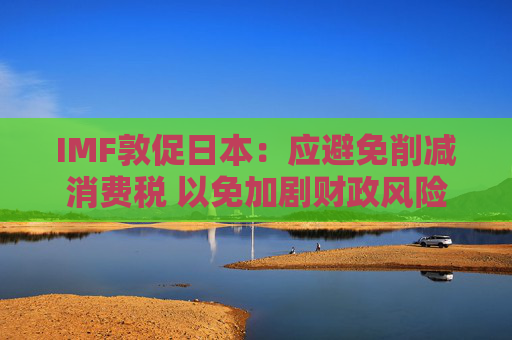 IMF敦促日本：应避免削减消费税 以免加剧财政风险