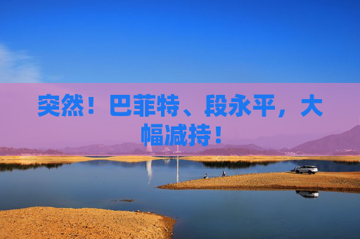 突然！巴菲特、段永平，大幅减持！