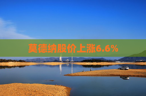 莫德纳股价上涨6.6%