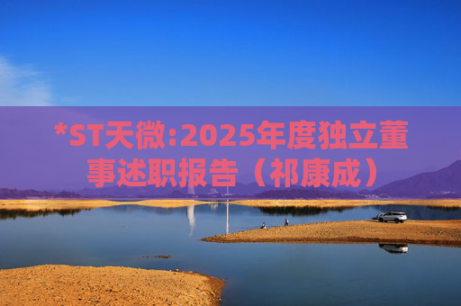 *ST天微:2025年度独立董事述职报告（祁康成）  第1张