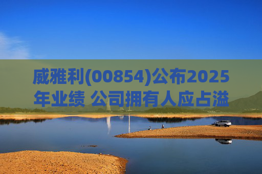 威雅利(00854)公布2025年业绩 公司拥有人应占溢利5095.8万港元