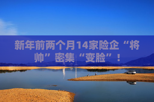 新年前两个月14家险企“将帅”密集“变脸”! 第1张 新年前两个月14家险企“将帅”密集“变脸”! 第1张