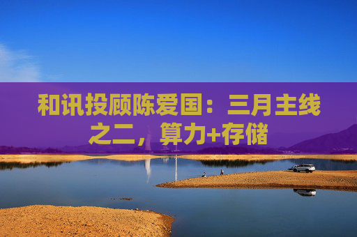 和讯投顾陈爱国：三月主线之二，算力+存储  第1张