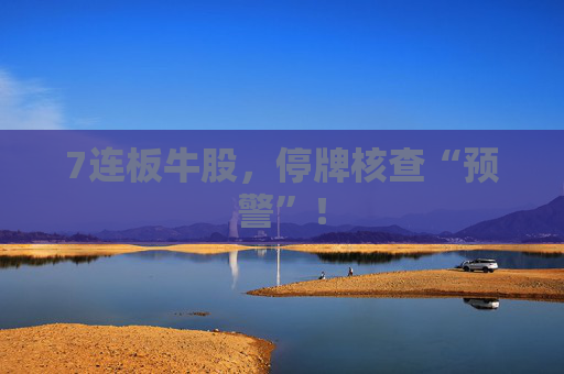 7连板牛股，停牌核查“预警”！