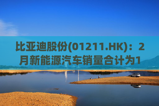 比亚迪股份(01211.HK)：2月新能源汽车销量合计为19.019万辆  第1张