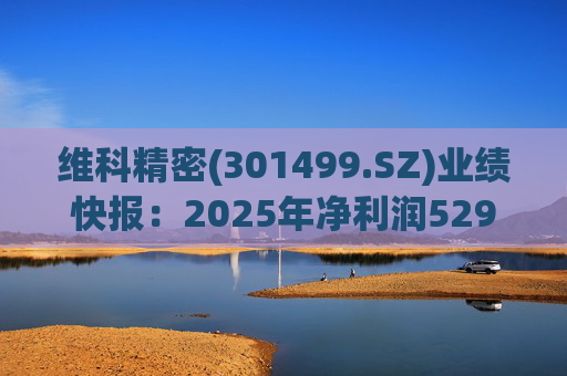 维科精密(301499.SZ)业绩快报：2025年净利润5293.82万元 同比增长16.85%  第1张