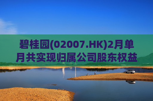 碧桂园(02007.HK)2月单月共实现归属公司股东权益合同销售金额约22.3亿元