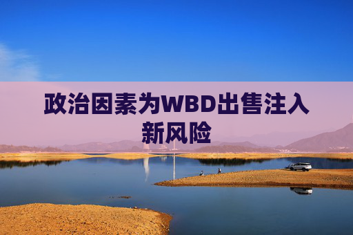 政治因素为WBD出售注入新风险  第1张