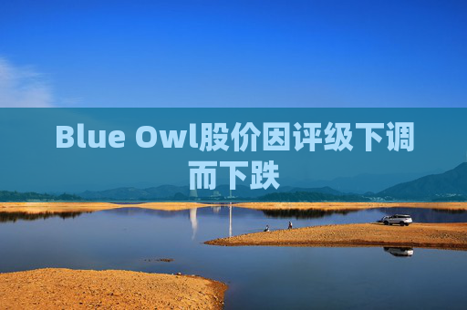 Blue Owl股价因评级下调而下跌