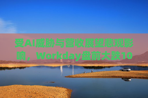 受AI威胁与营收展望悲观影响，Workday盘前大跌10%  第1张