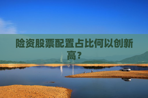 险资股票配置占比何以创新高？