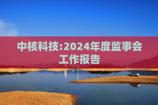 中核科技:2024年度监事会工作报告