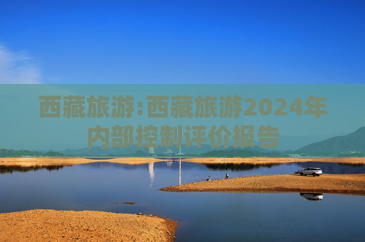 西藏旅游:西藏旅游2024年内部控制评价报告  第1张