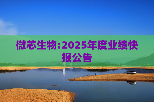 微芯生物:2025年度业绩快报公告  第1张