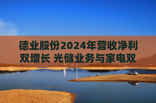 德业股份2024年营收净利双增长 光储业务与家电双轮驱动发力