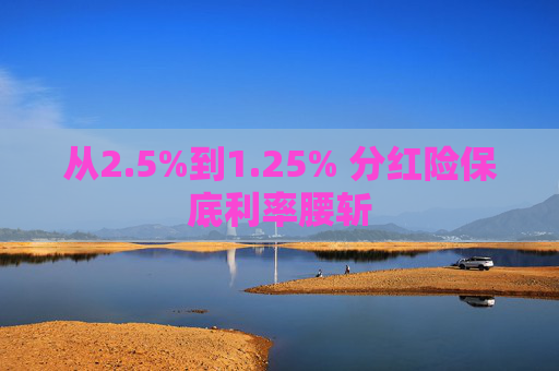 从2.5%到1.25% 分红险保底利率腰斩