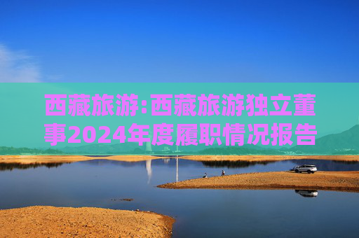 西藏旅游:西藏旅游独立董事2024年度履职情况报告（高金波）  第1张