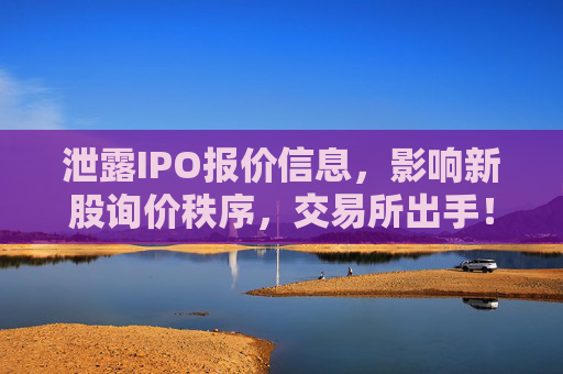 泄露IPO报价信息，影响新股询价秩序，交易所出手！