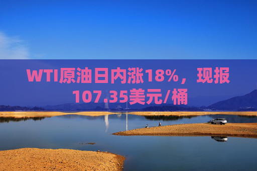 WTI原油日内涨18%，现报107.35美元/桶