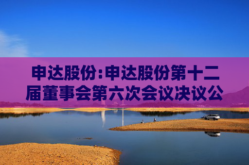 申达股份:申达股份第十二届董事会第六次会议决议公告