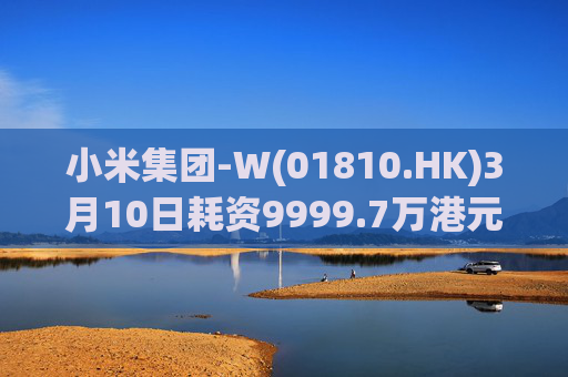 小米集团-W(01810.HK)3月10日耗资9999.7万港元回购297.7万股