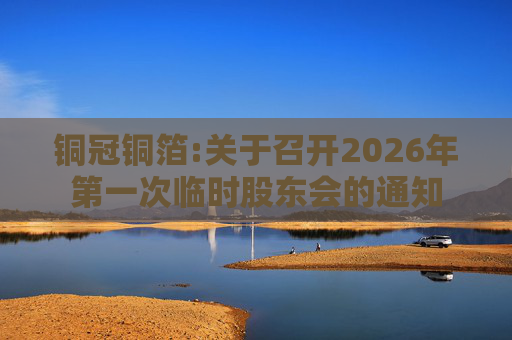 铜冠铜箔:关于召开2026年第一次临时股东会的通知  第1张