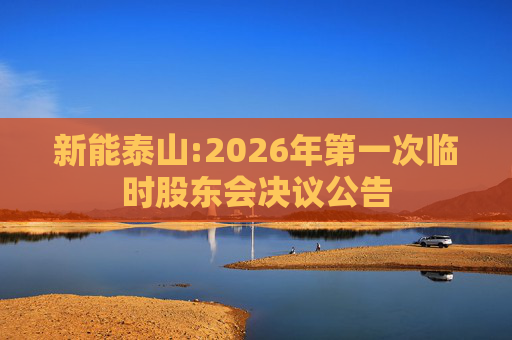 新能泰山:2026年第一次临时股东会决议公告