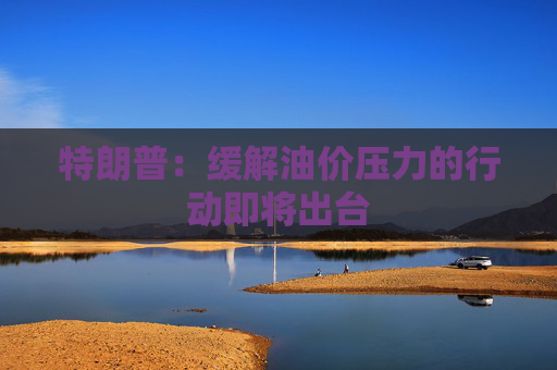 特朗普：缓解油价压力的行动即将出台