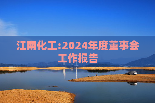 江南化工:2024年度董事会工作报告