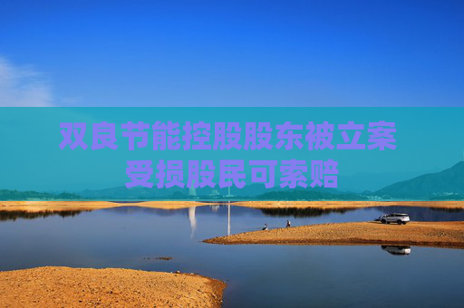 双良节能控股股东被立案 受损股民可索赔