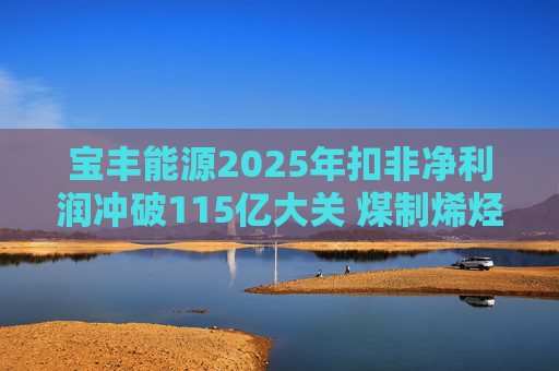 宝丰能源2025年扣非净利润冲破115亿大关 煤制烯烃龙头迎高光时刻