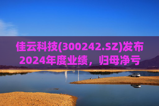 佳云科技(300242.SZ)发布2024年度业绩，归母净亏损1.06亿元，扩大10.93%