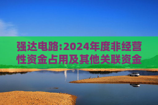 强达电路:2024年度非经营性资金占用及其他关联资金往来情况汇总表