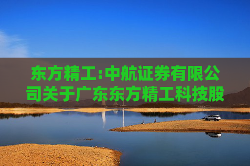 东方精工:中航证券有限公司关于广东东方精工科技股份有限公司本次重大资产重组前发生业绩异常或存在拟置出资产情形的相关事项之专项核查意见