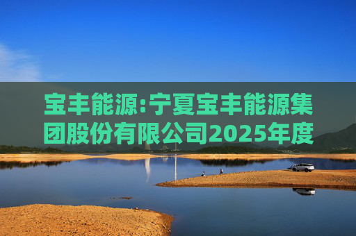 宝丰能源:宁夏宝丰能源集团股份有限公司2025年度独立董事述职报告（孙积禄）