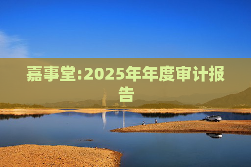 嘉事堂:2025年年度审计报告  第1张