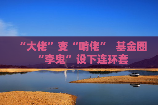 “大佬”变“啃佬”  基金圈“李鬼”设下连环套