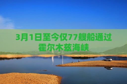 3月1日至今仅77艘船通过霍尔木兹海峡  第1张