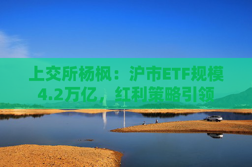 上交所杨枫：沪市ETF规模4.2万亿，红利策略引领