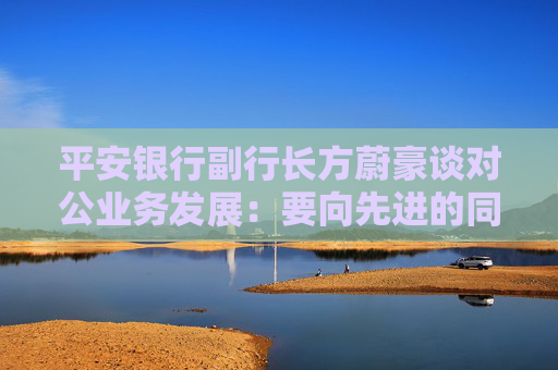 平安银行副行长方蔚豪谈对公业务发展：要向先进的同行多去学习，同时要大快步赶上